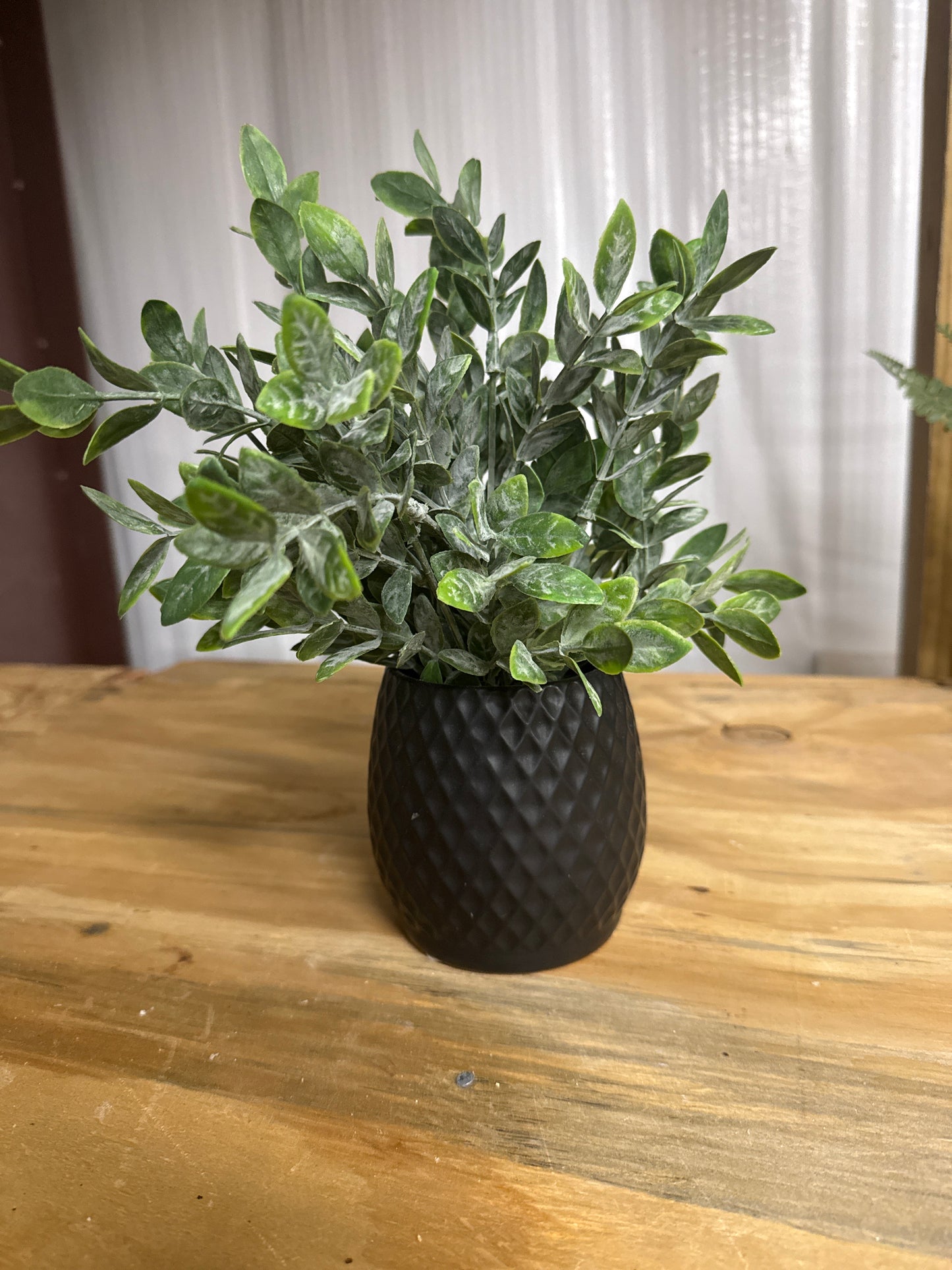 Faux Boxwood - Black Diamond Pot
