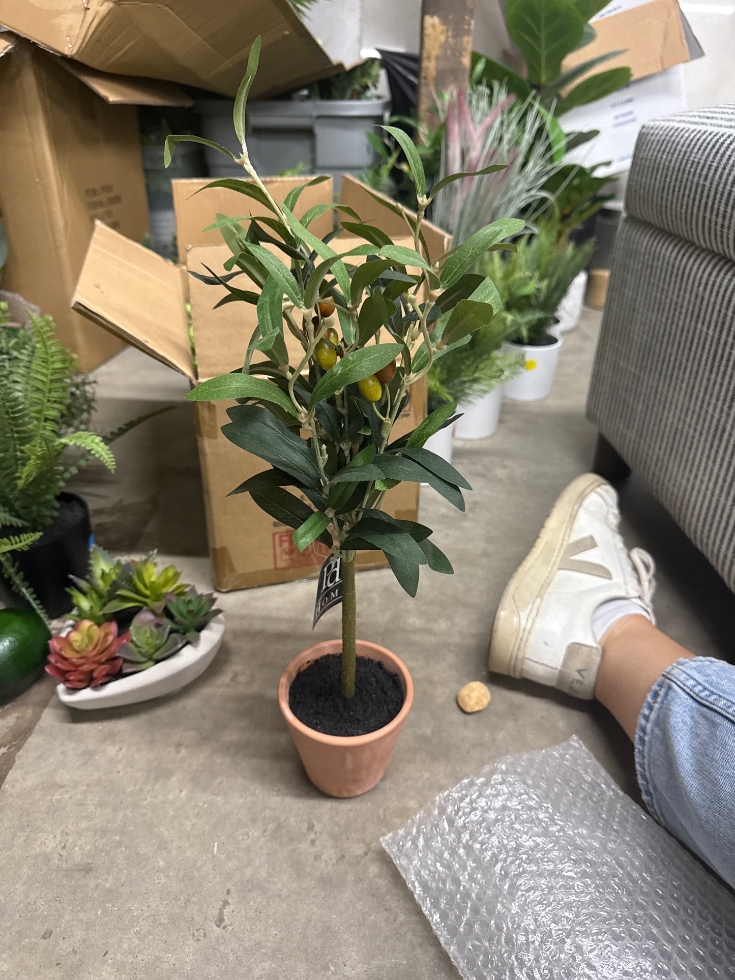 Faux Olive Tree Topiary - Small Terracotta Pot