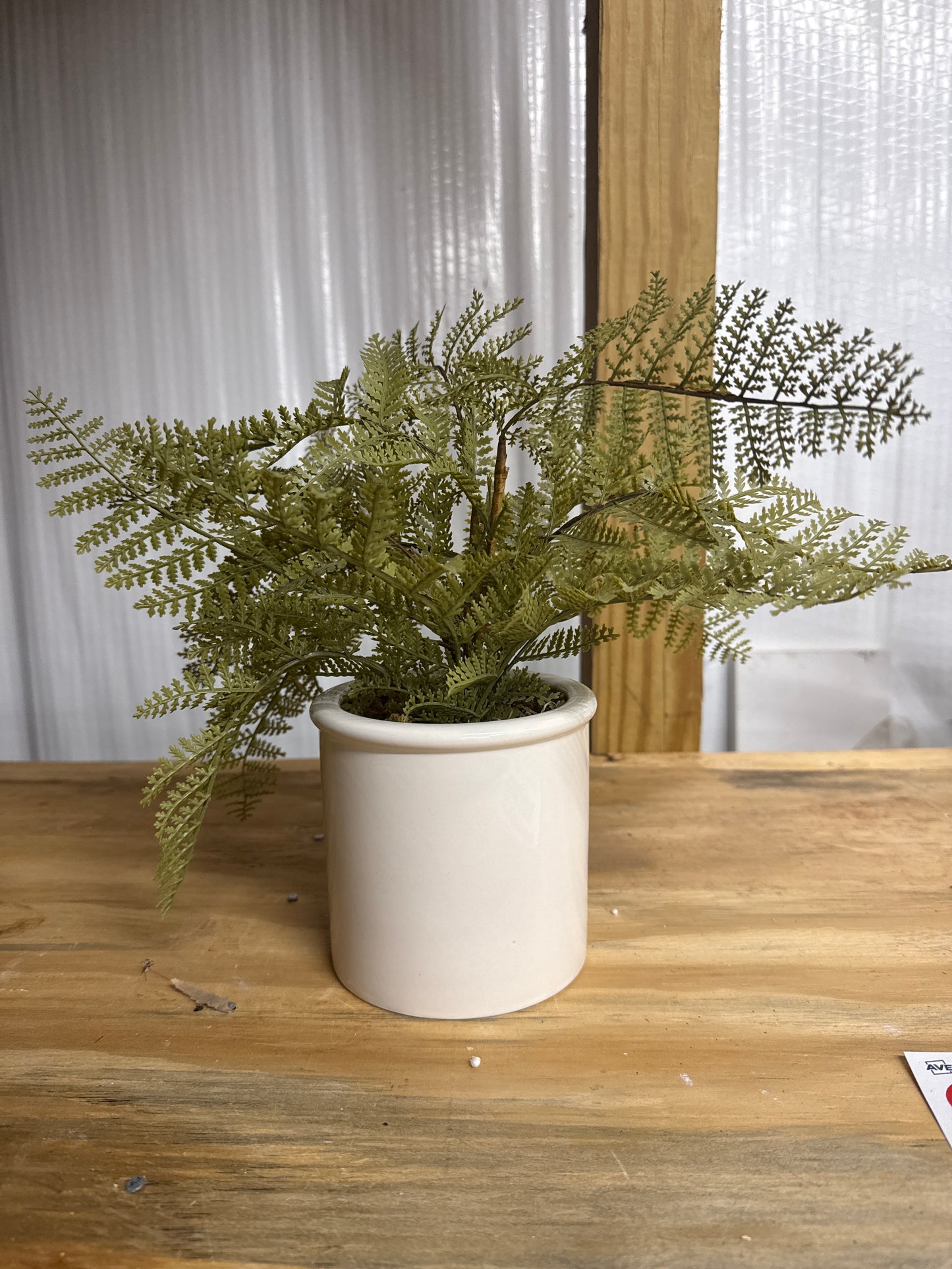 Faux Lace Fern - White Ceramic Cylinder Pot