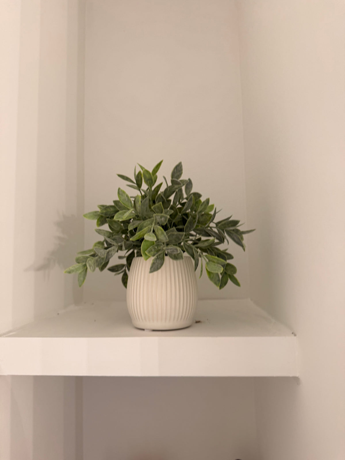 Greenery in Round Lined Small Pot