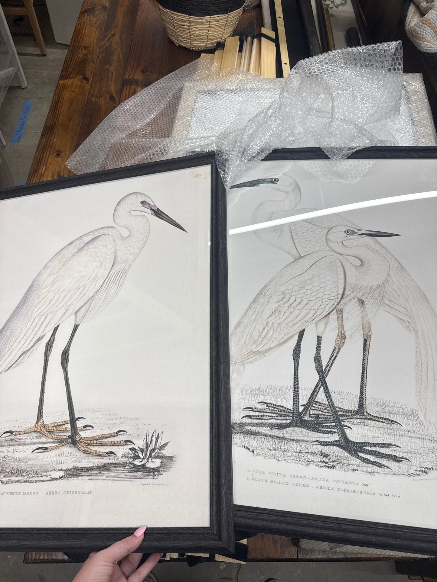 Framed Egret Bird Print Set of 2