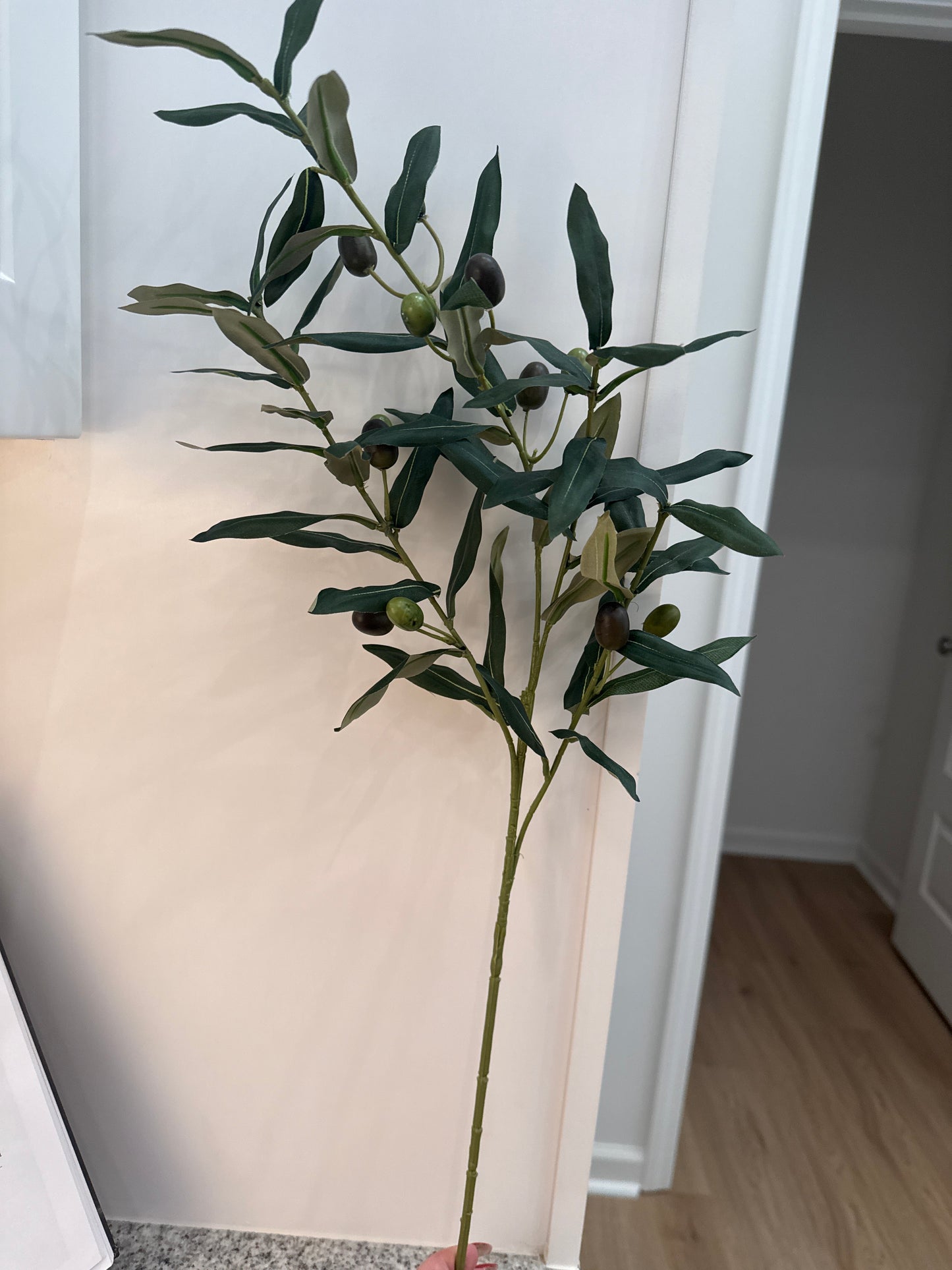Olive Branch Stem