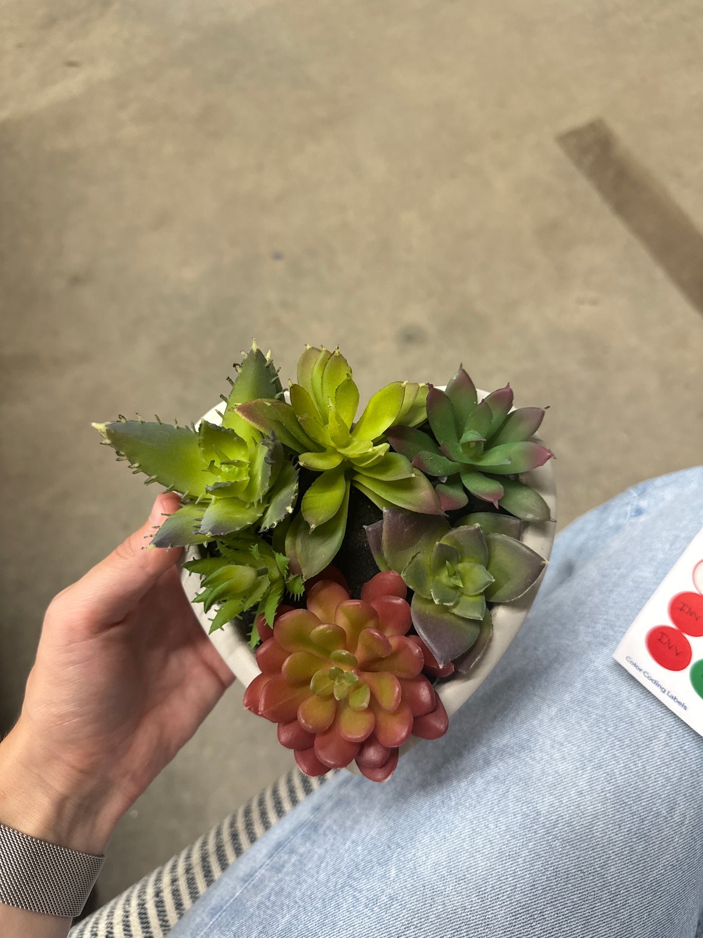 Faux Succulent Arrangement - Heart White Pot