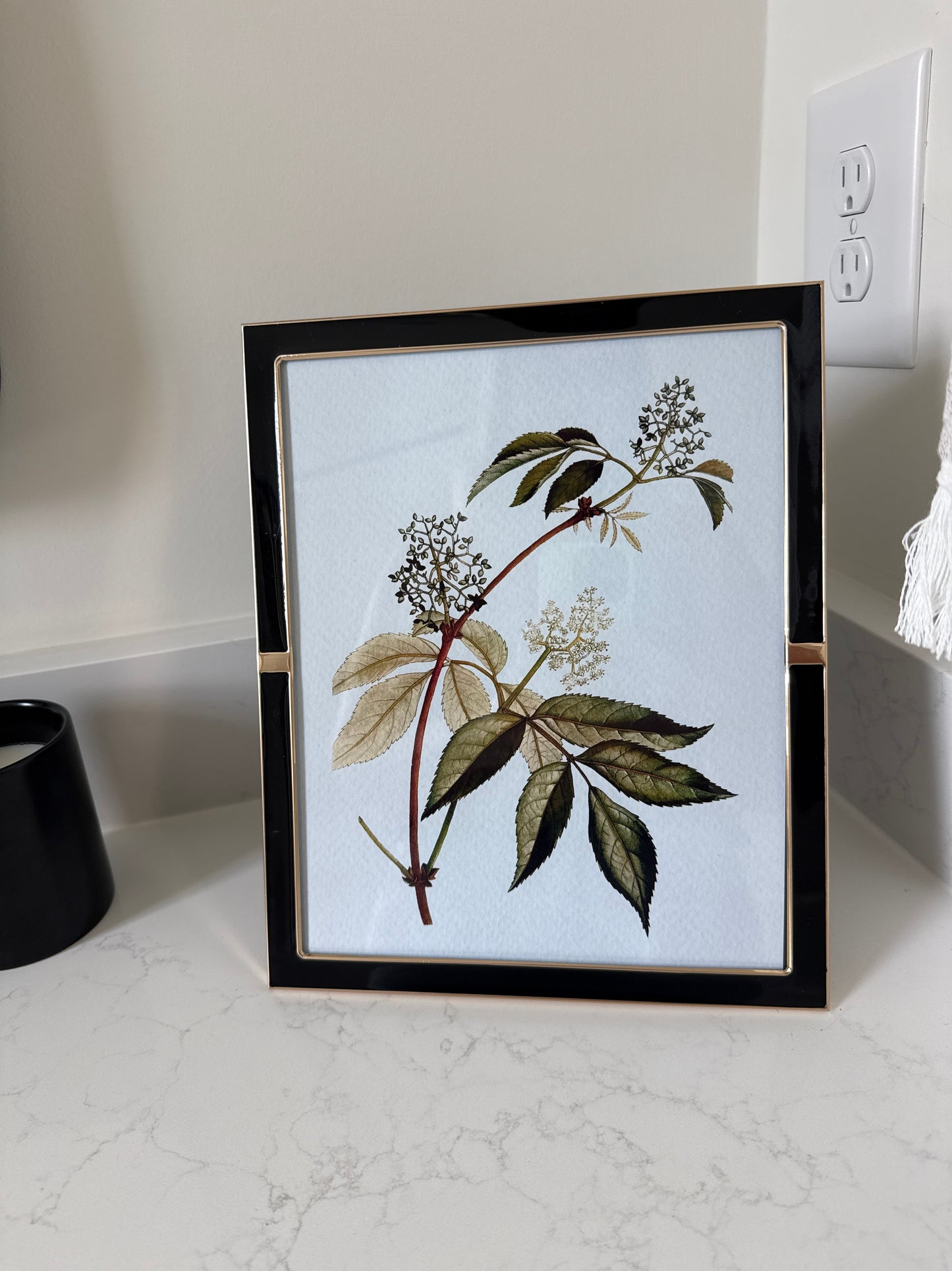 Black and Gold Frame w/ Stem Artwork