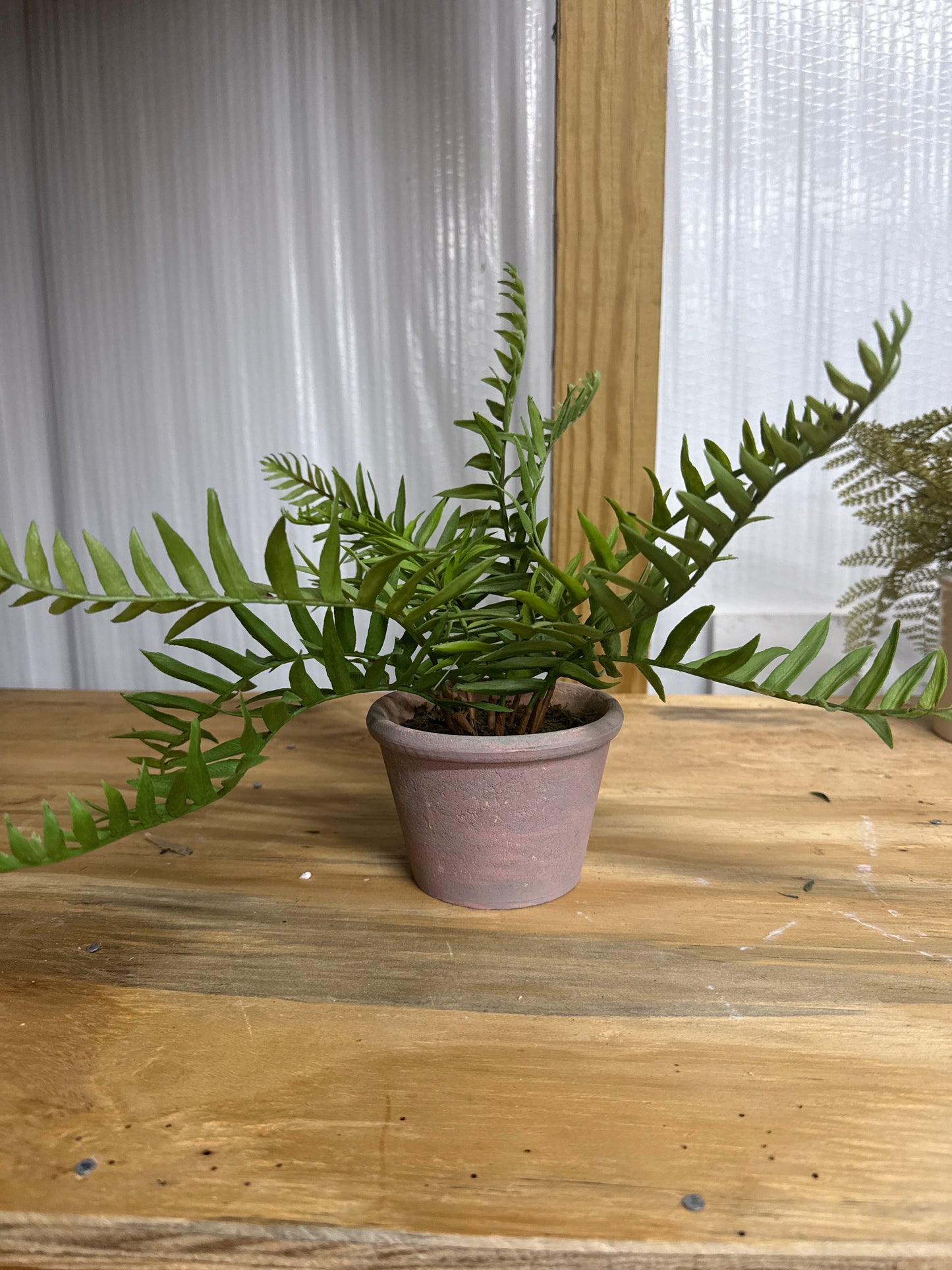 Faux Fern - Mauve Clay Pot