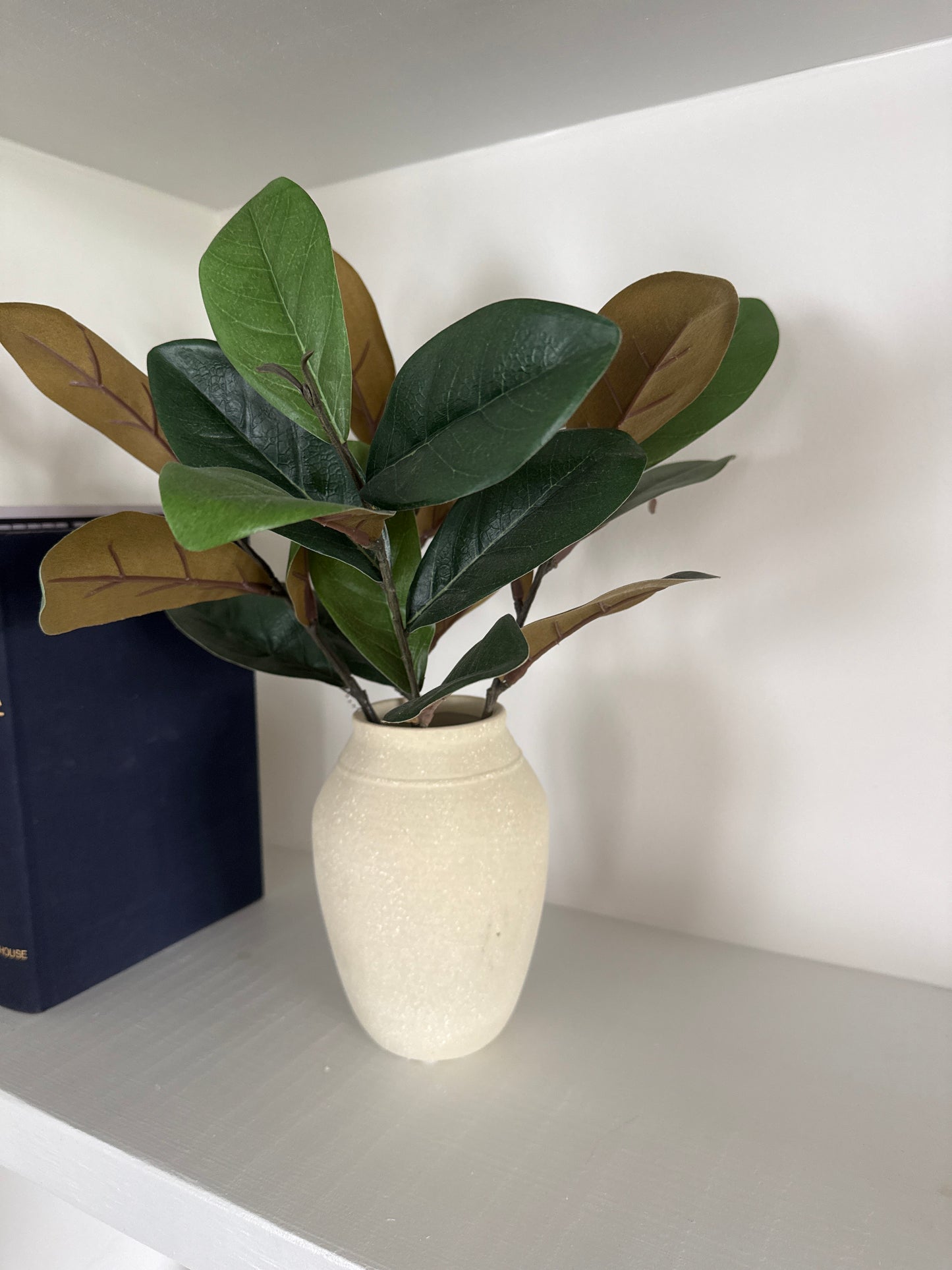 Small creamy terra-cotta pot with magnolia leaf