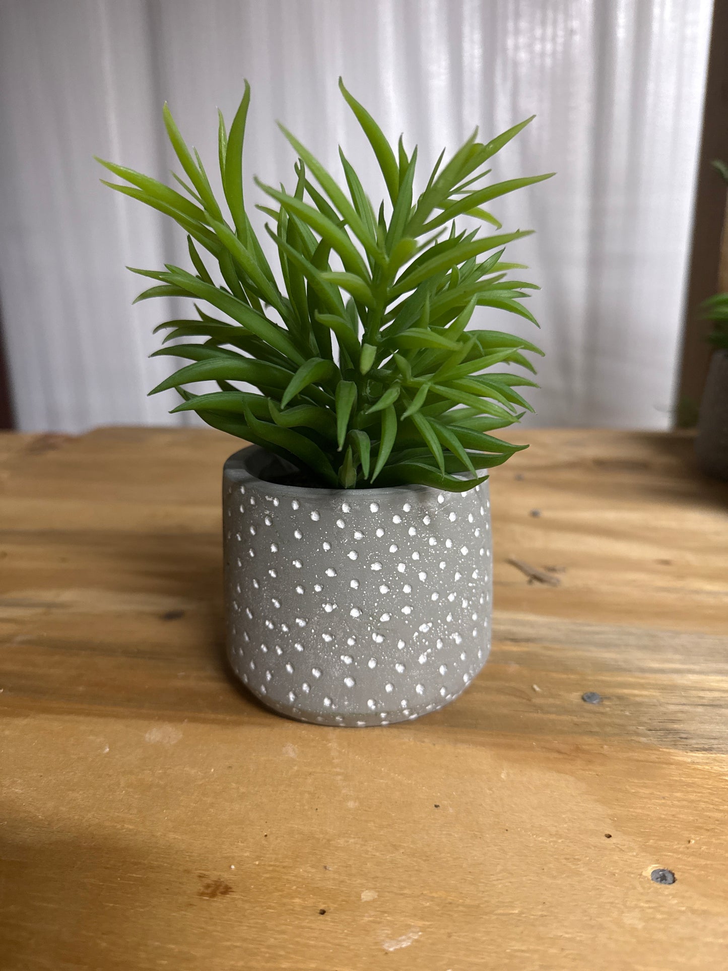Faux Succulent - Gray Speckled Pot