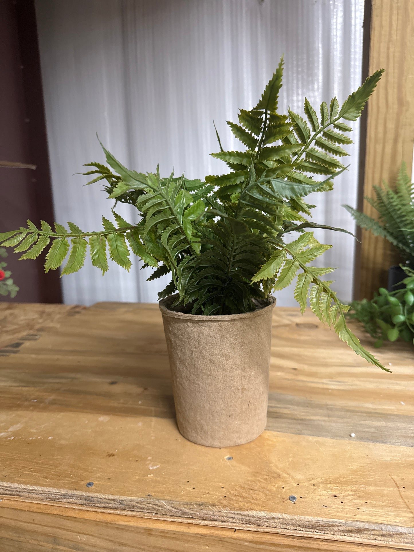 Faux Fern - Tan Concrete Pot