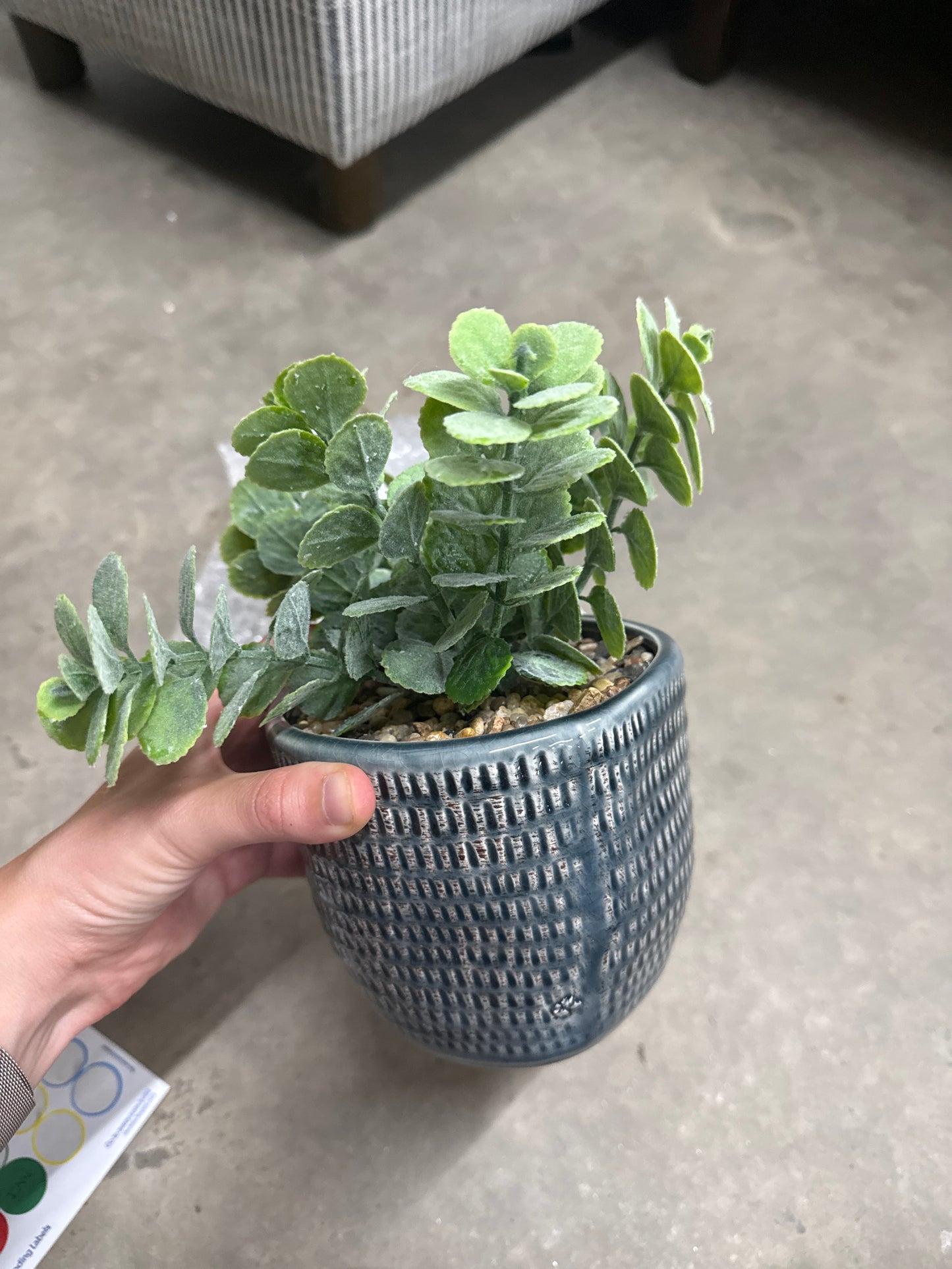 Faux Jade Plant - Textured Blue Ceramic Pot