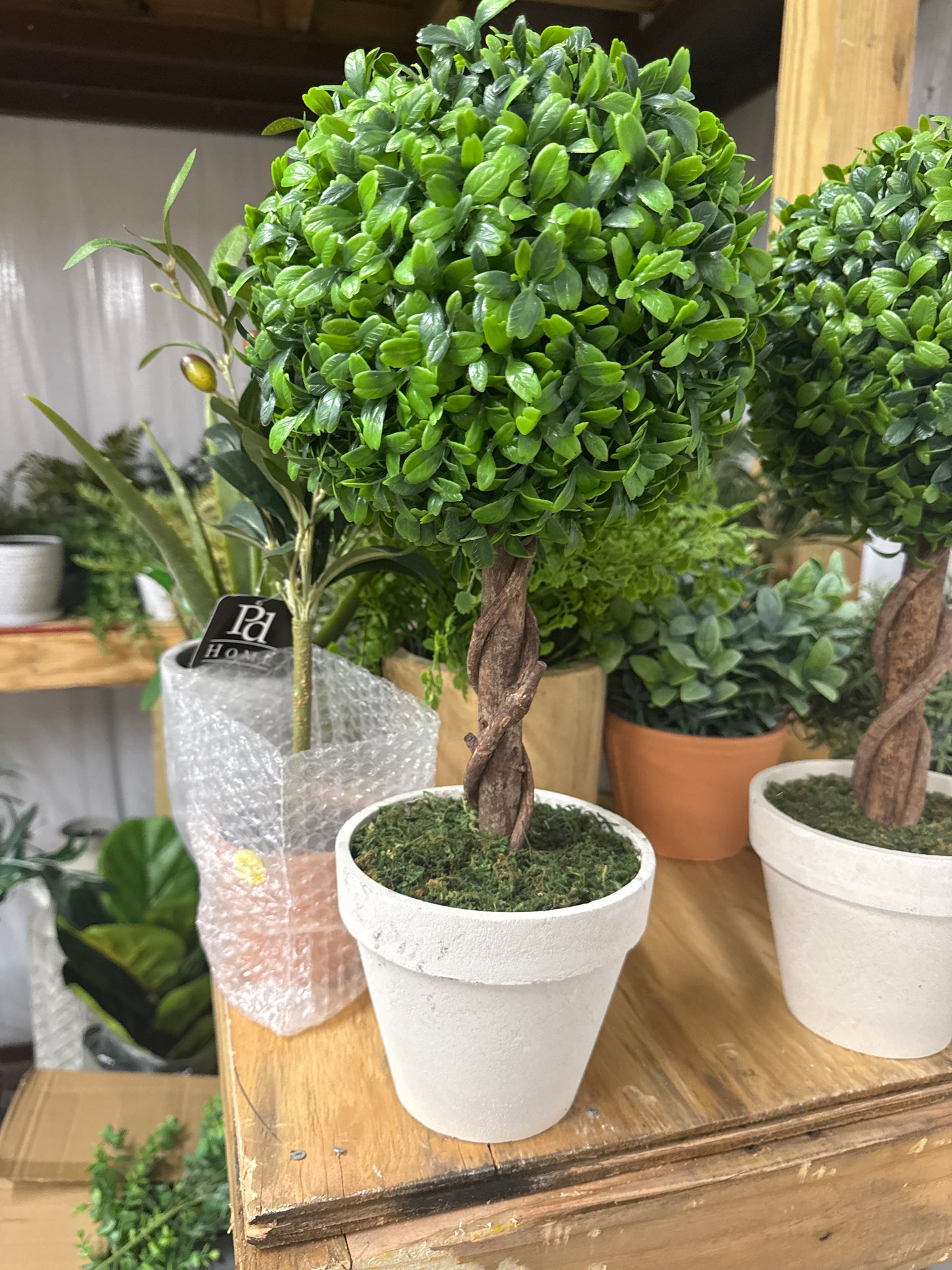 Faux Boxwood Ball Topiary - Twisted Trunk White Pot