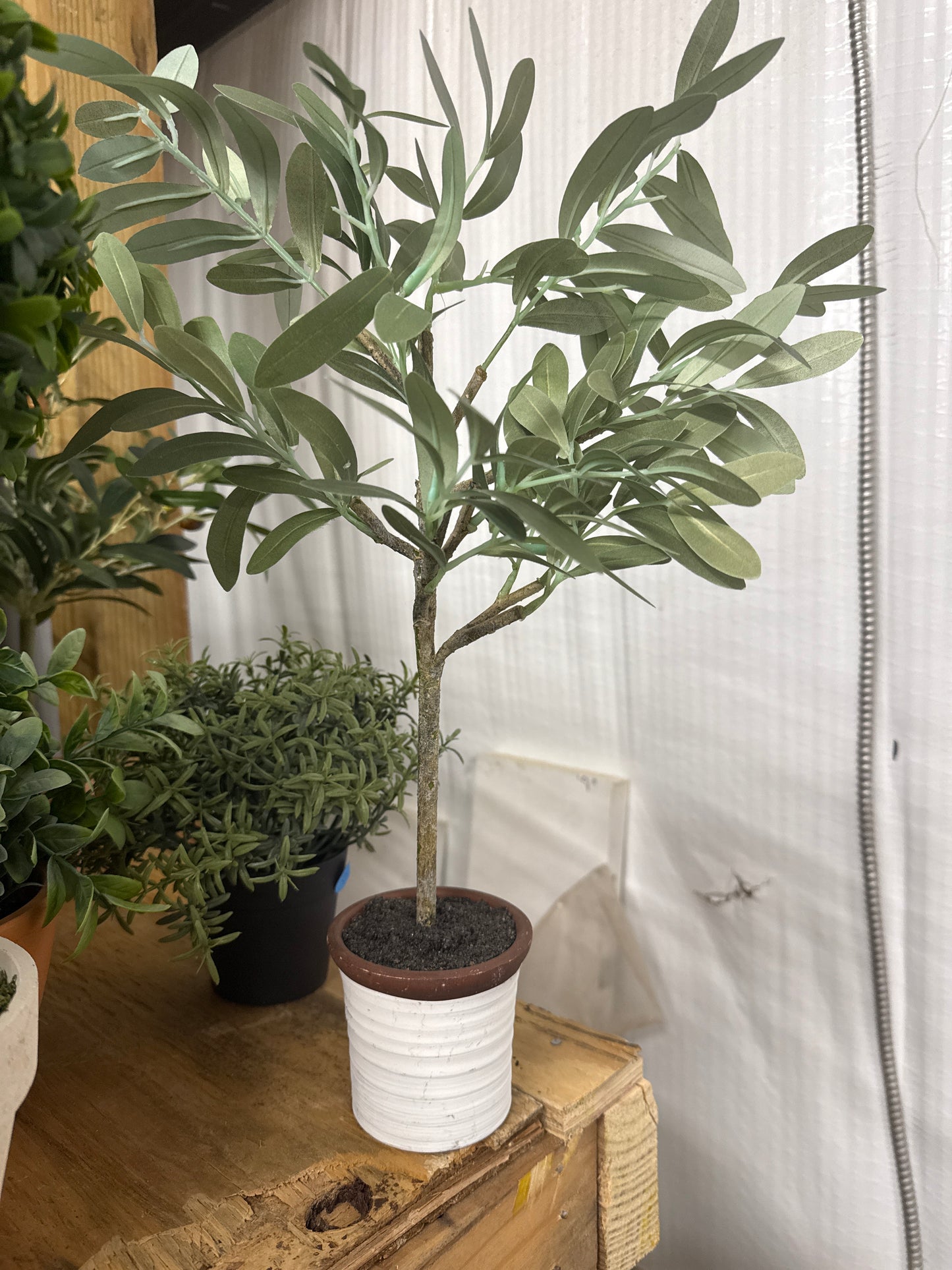Faux Olive Tree - Small White Ribbed Pot