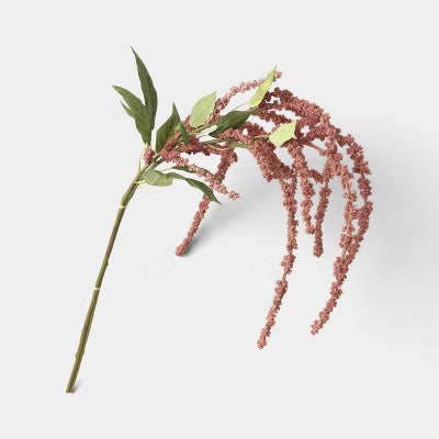 Amaranthus Stem