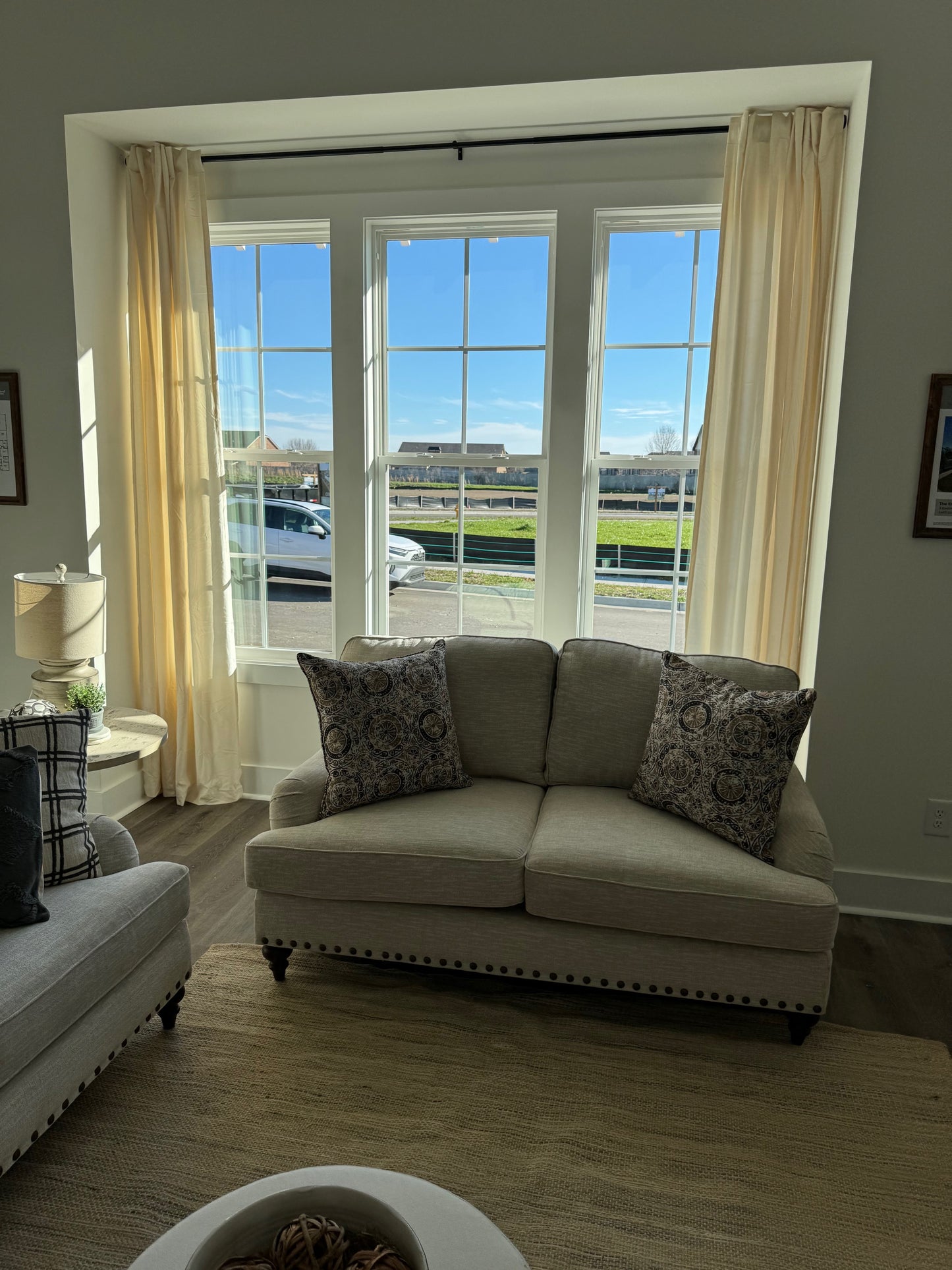 Ivory Velvet Curtains and Black Rod
