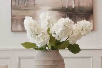 Tall Rounded Hydrangea Stem