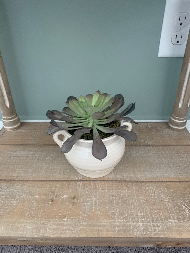 Faux Potted Succulent