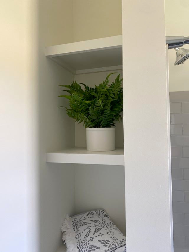 Fern in Medium White Pot