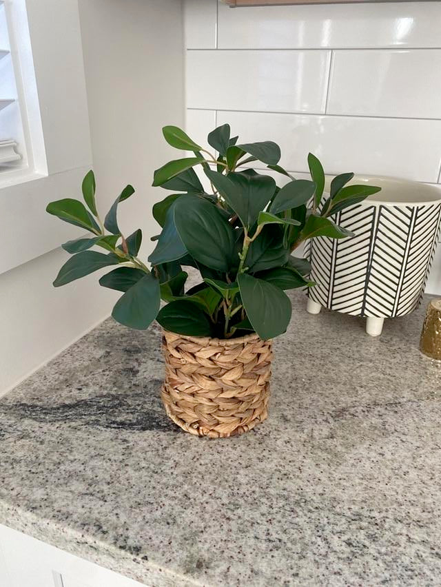 Small Faux Plant in Wicker Pot
