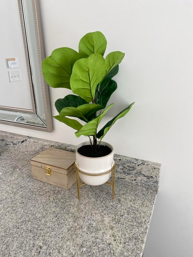 Mini Fiddle Leaf Fig in White Ceramic Pot on Gold Stand