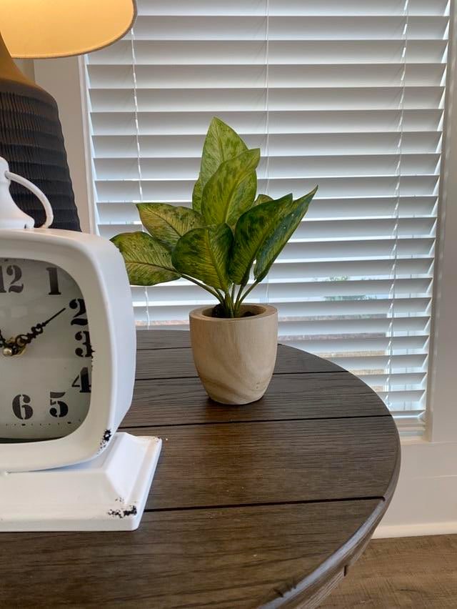 Small Faux Plant in Wood Vase