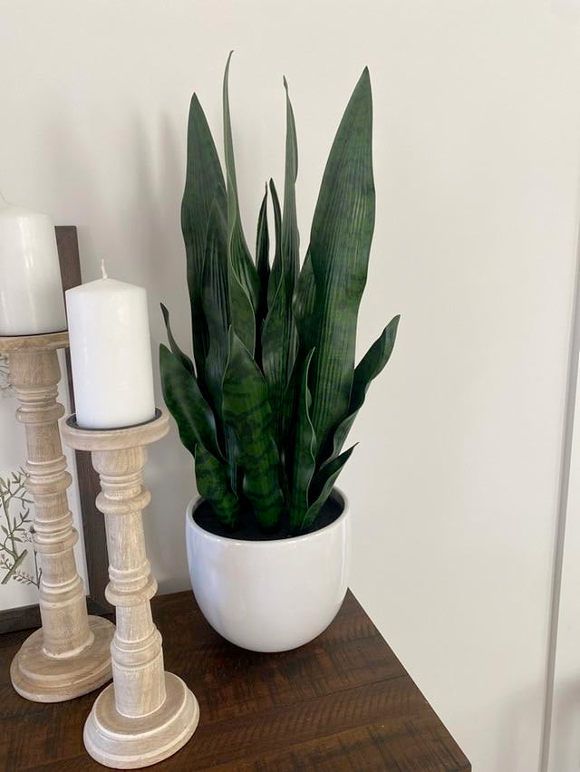 Potted Faux Snake Plant