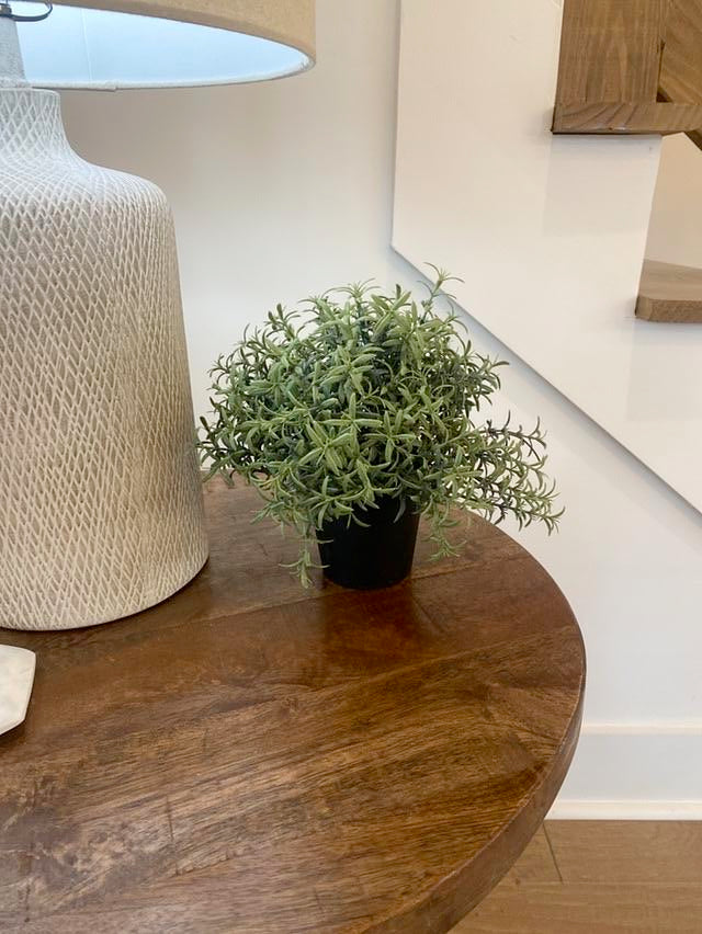 Small Faux Plant in Black Pot