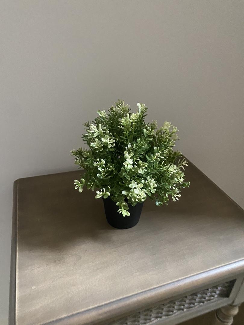 Faux Succulent in Black Pot