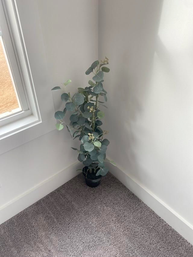 Faux Eucalyptus Plant