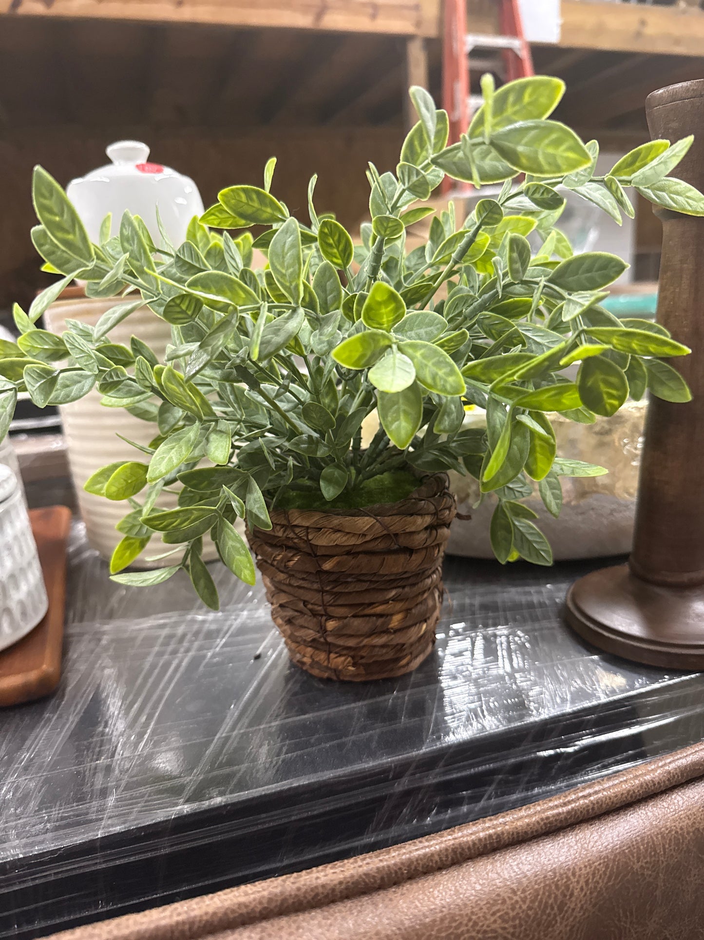 Small Faux Variegated Plant in Woven Basket