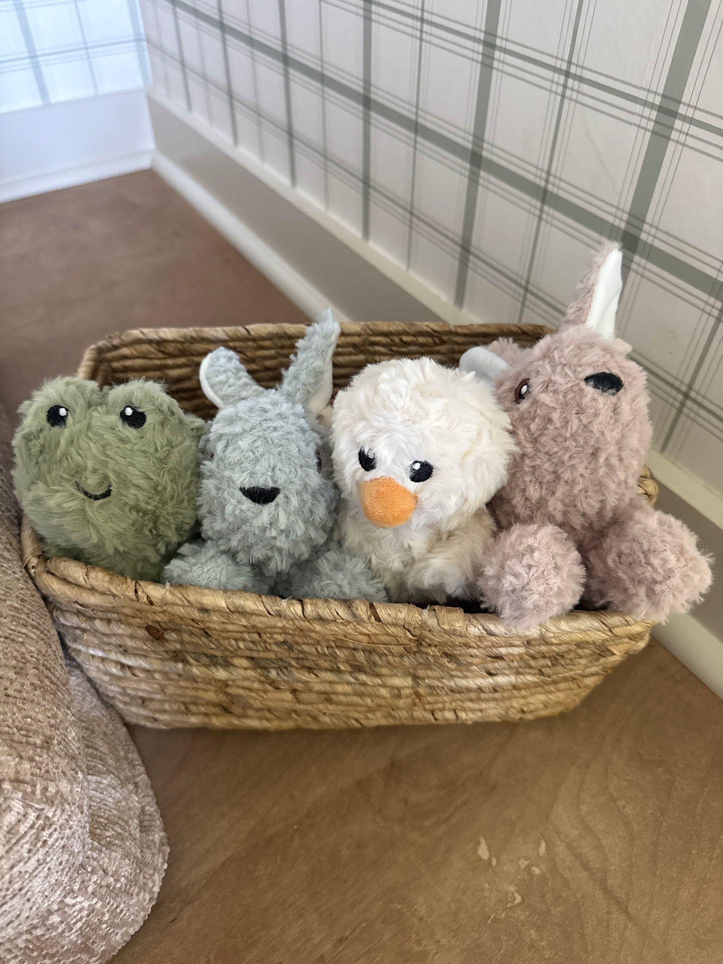 Dog Toy Set of 4