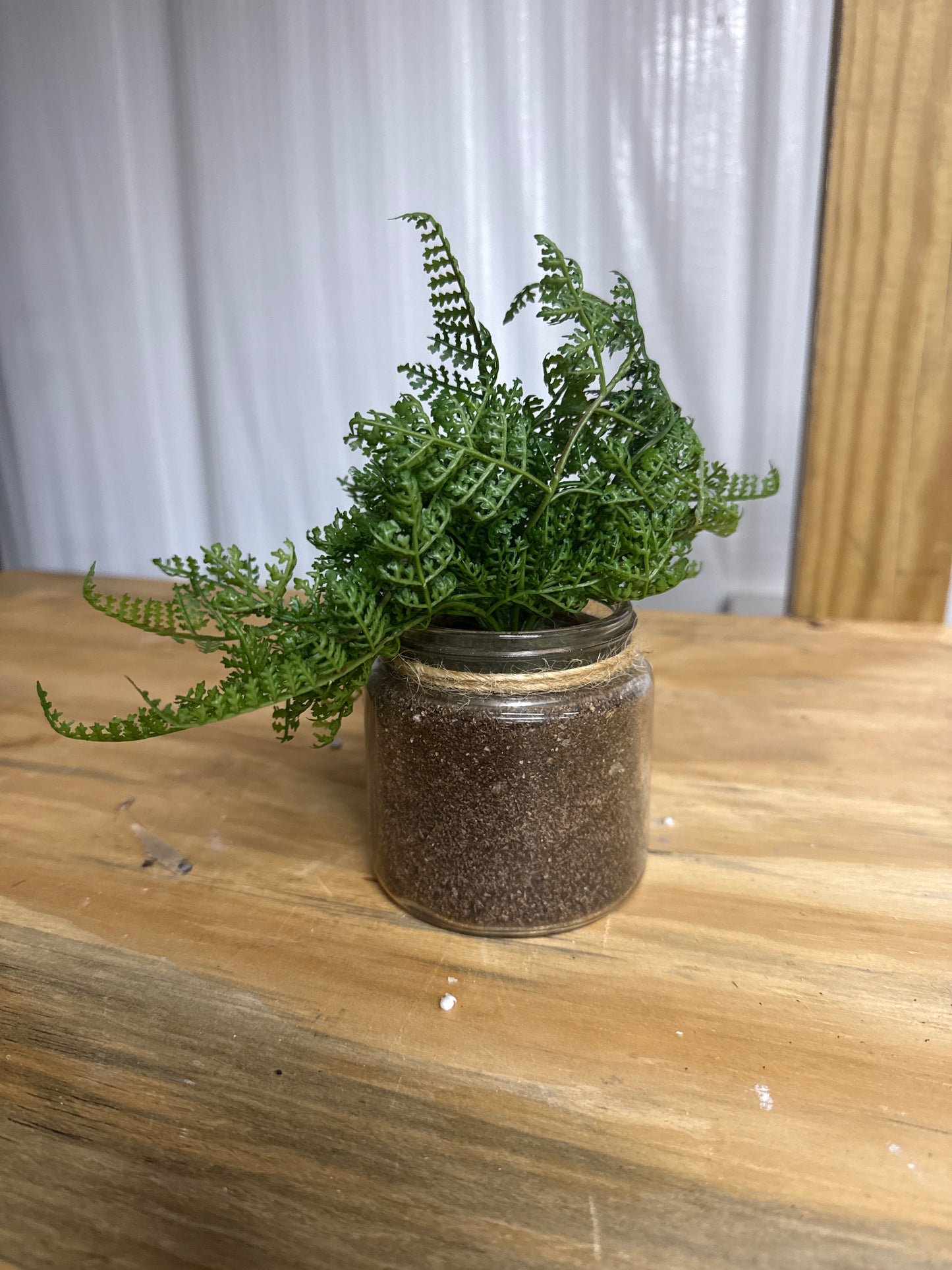 Faux Lace Fern - Glass Jar with Twine