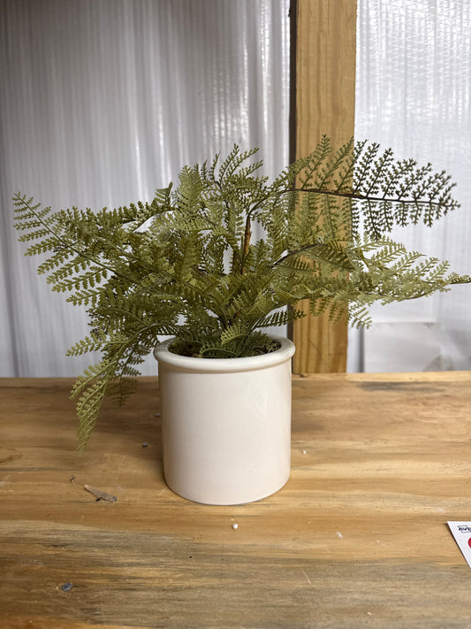 Faux Lace Fern - White Ceramic Cylinder Pot