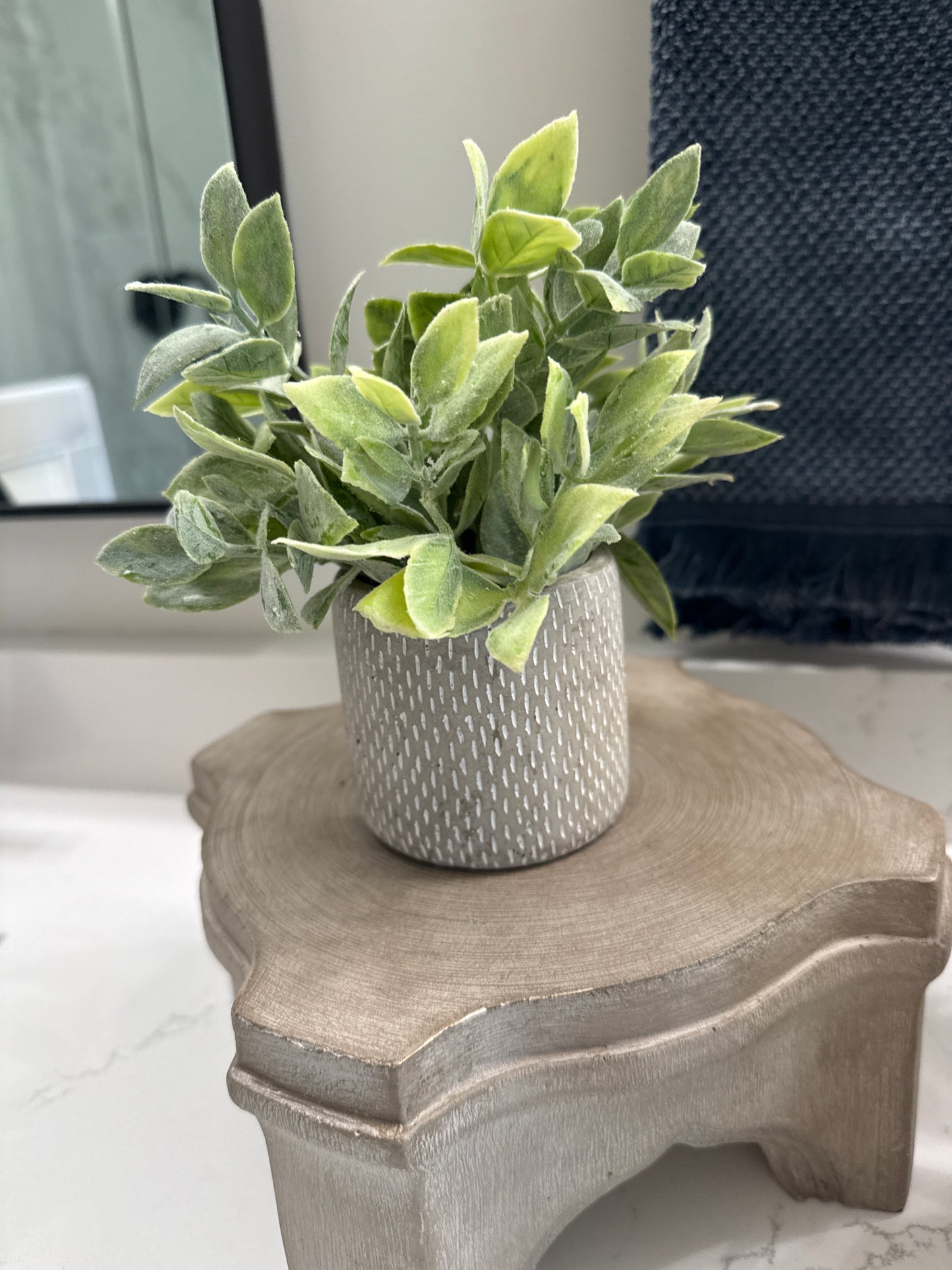 Small Potted Plant in Gray Vase