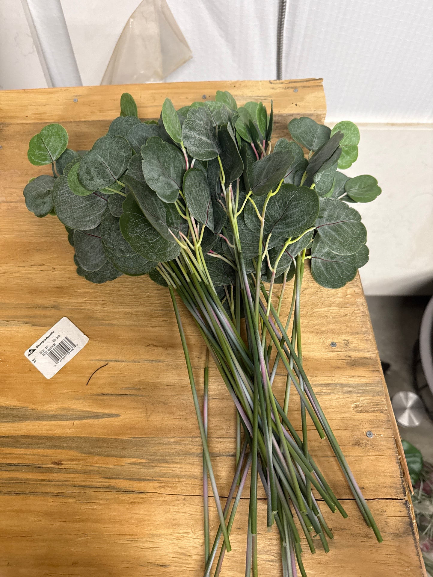 Faux Eucalyptus Stems - Bundle