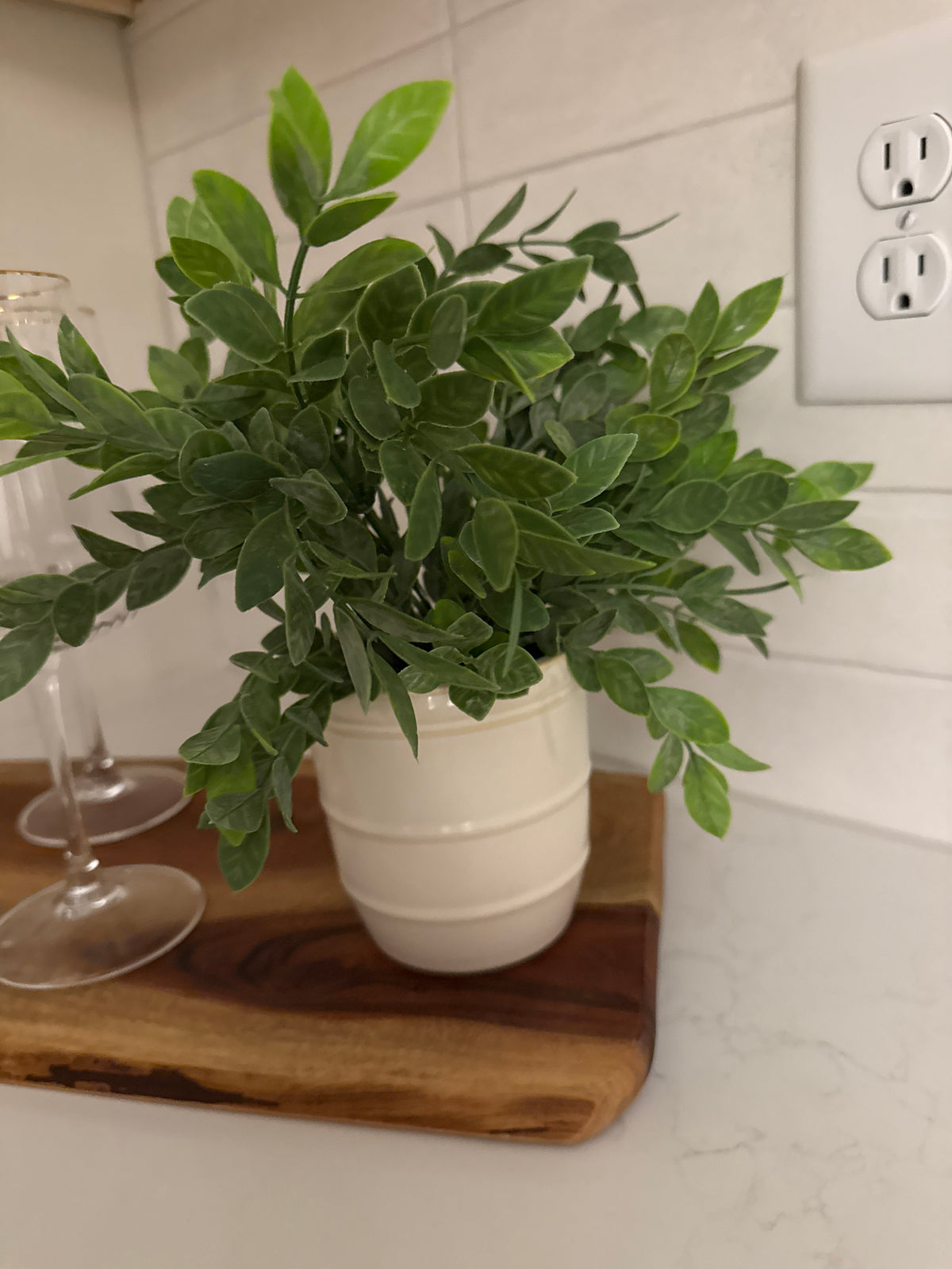 Greenery in Ivory Lined Pot