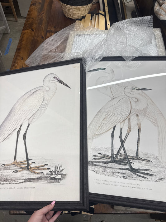 Framed Egret Bird Print Set of 2