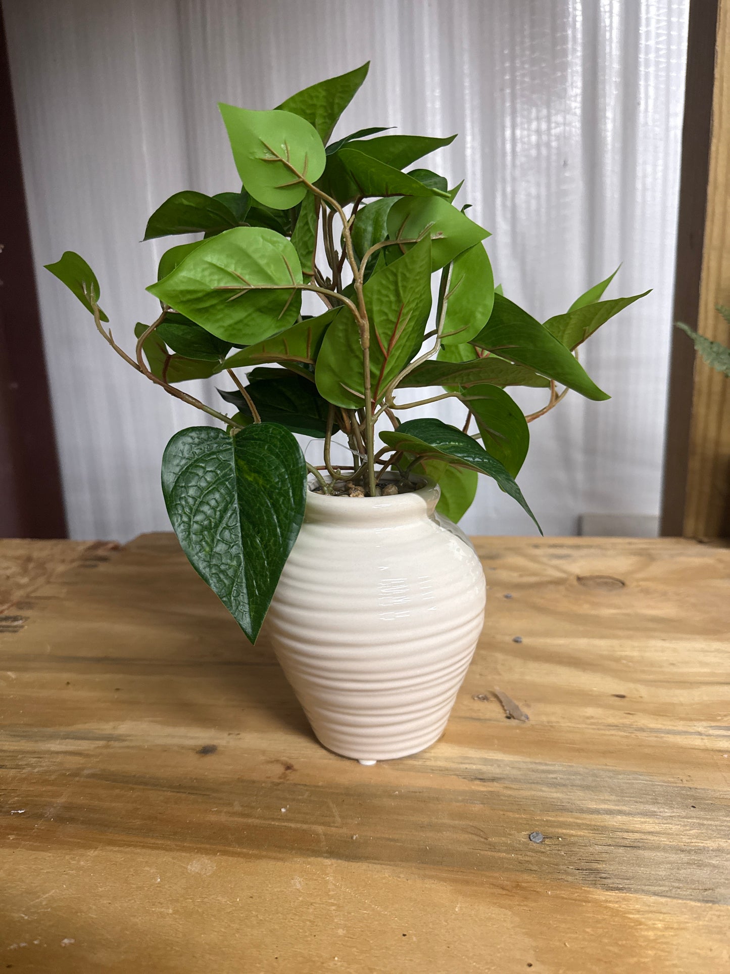 Faux Pothos - White Ribbed Ceramic Pot