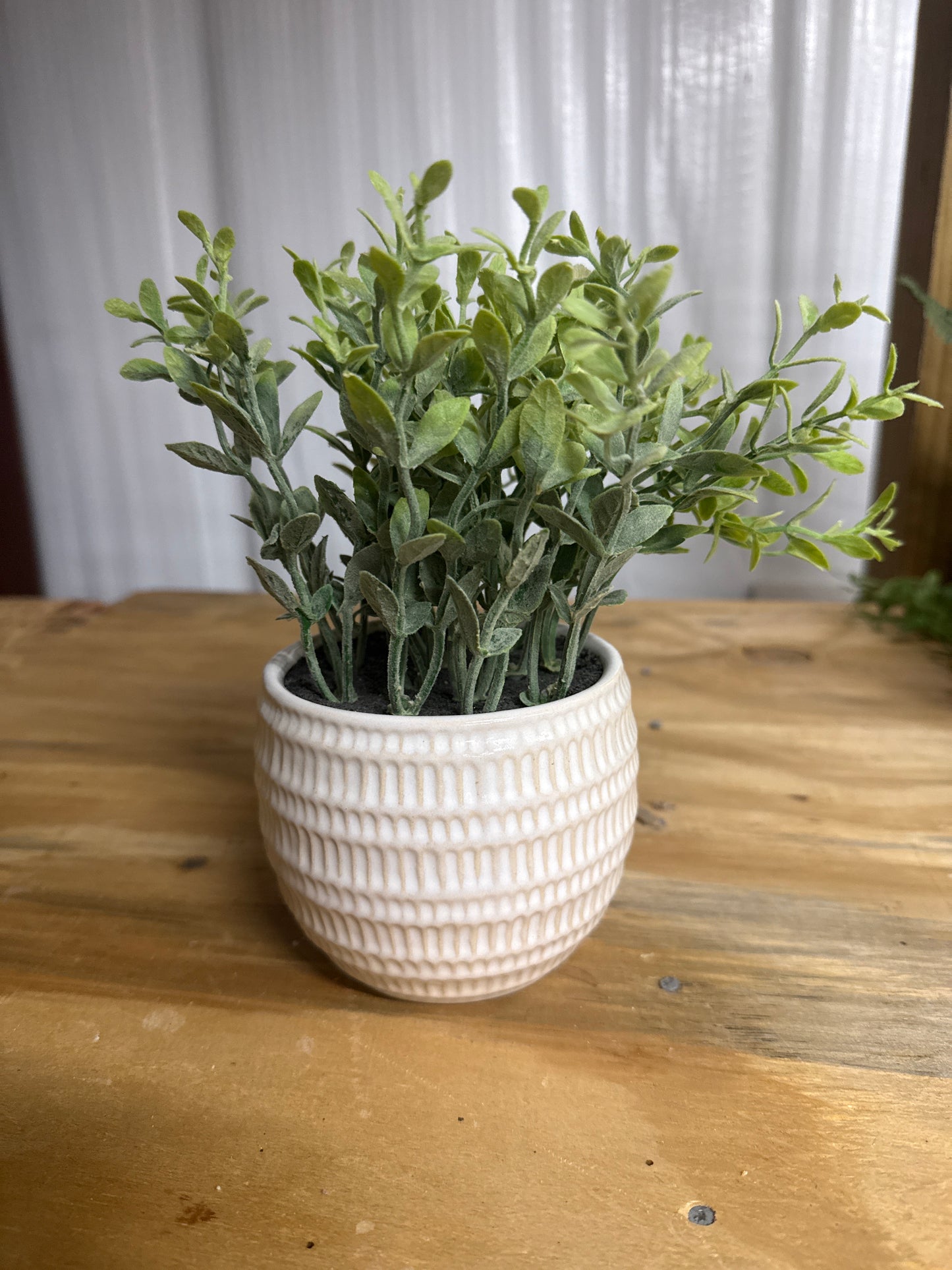 Faux Herb Bush - White Ribbed Pot