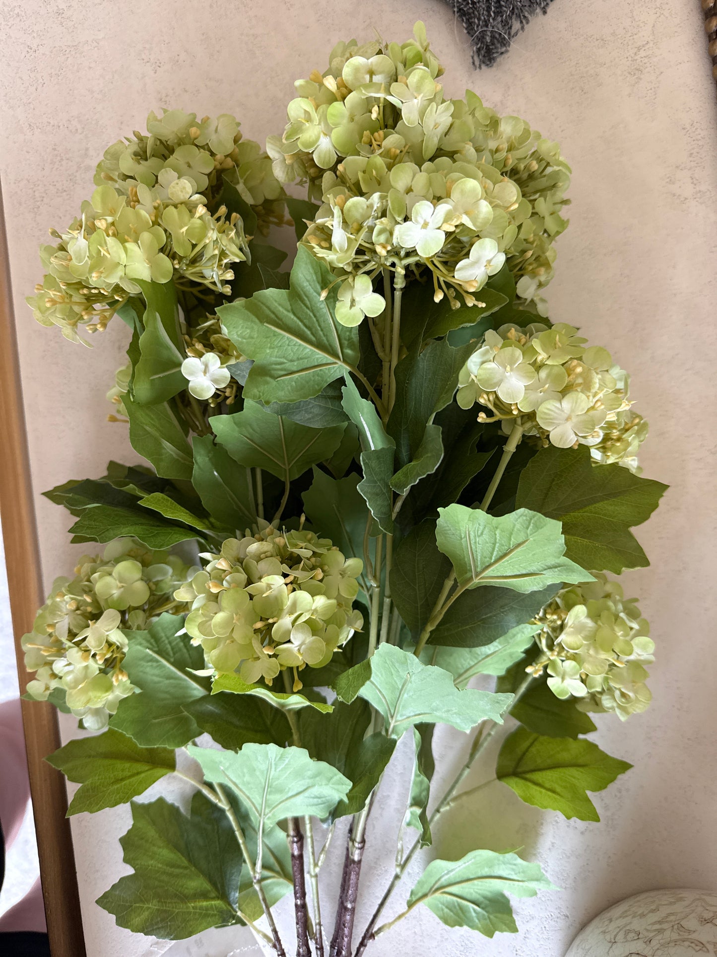 Green Hydrangea Stems (Set of 3)