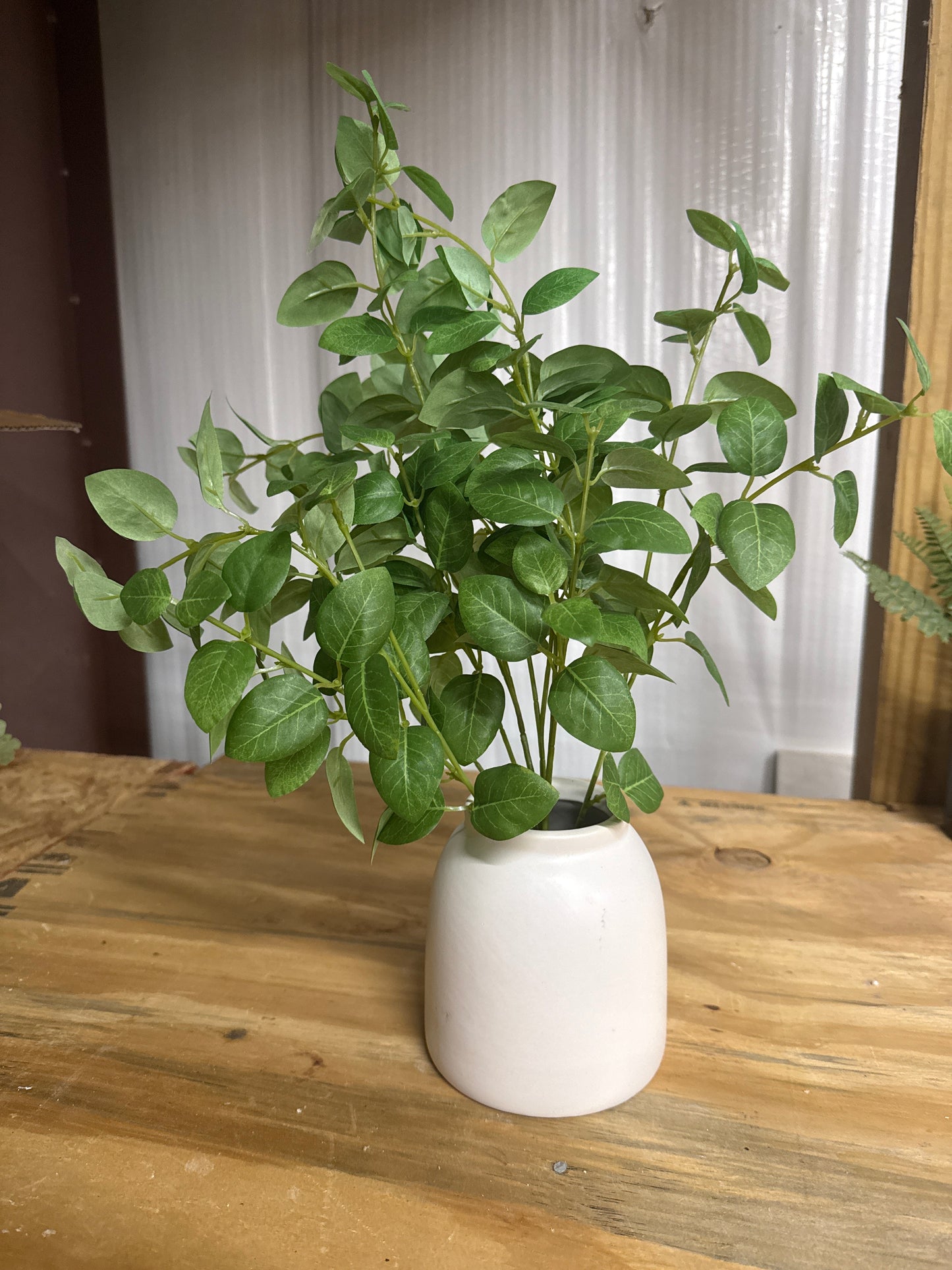 Faux Eucalyptus Bush - White Ceramic Pot