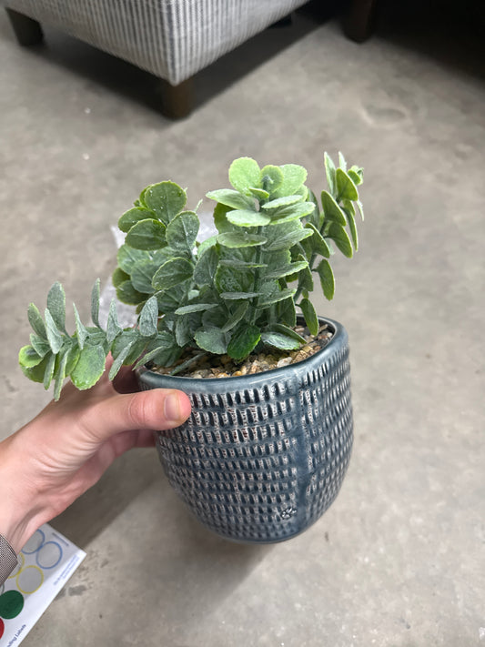 Faux Jade Plant - Textured Blue Ceramic Pot