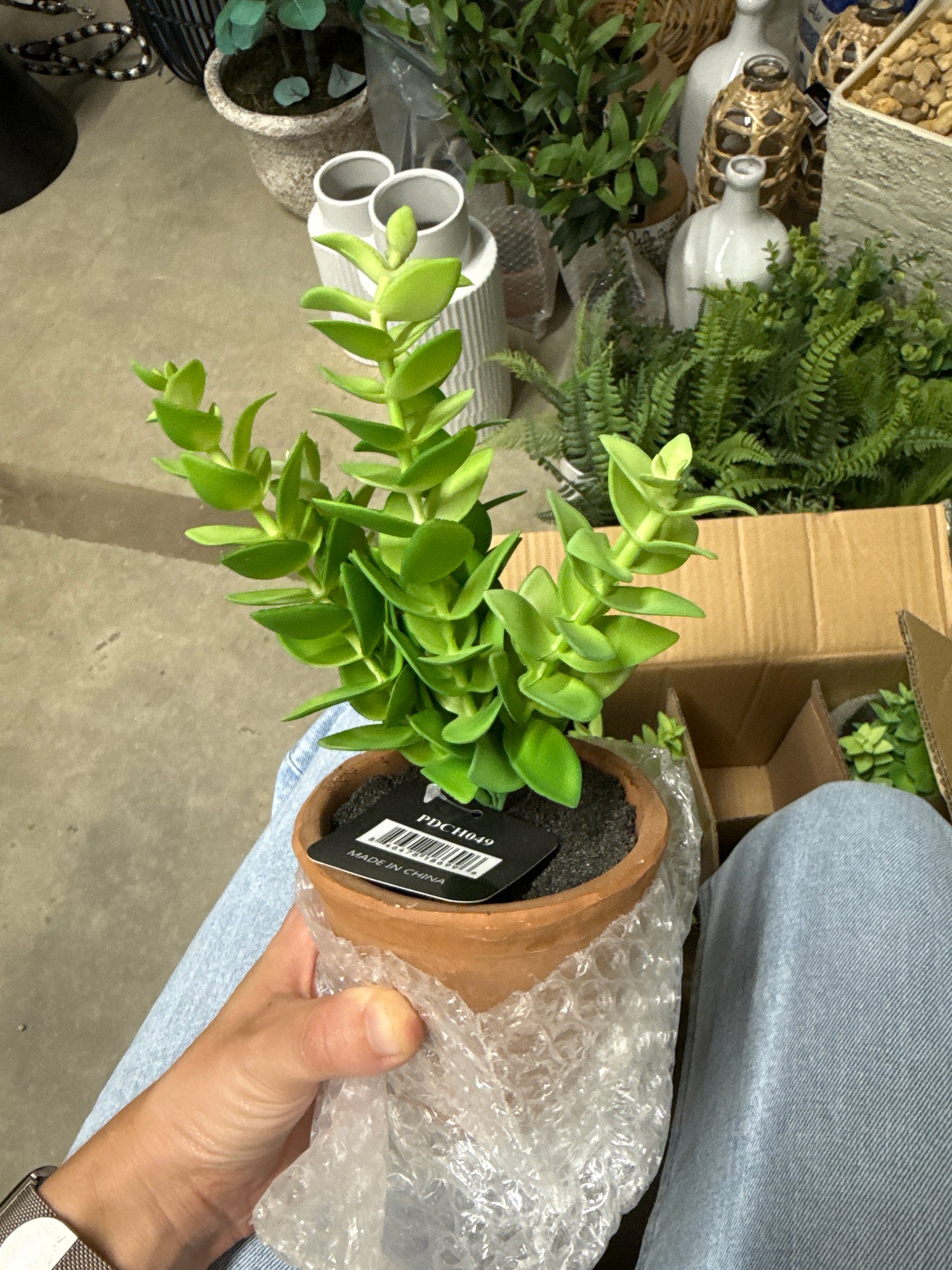 Faux Potted Plant - Small Terracotta