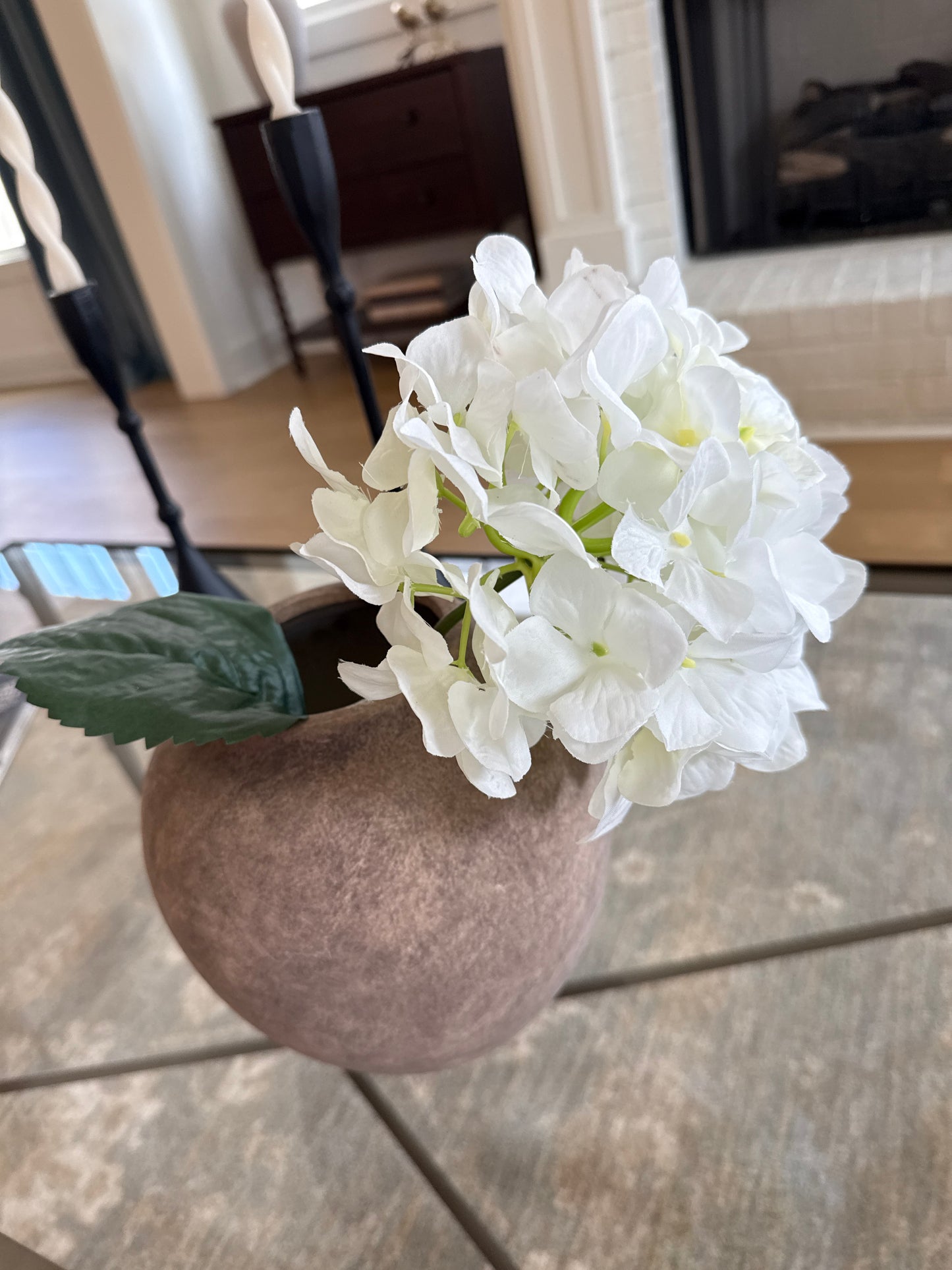 Hydrangea Stem￼