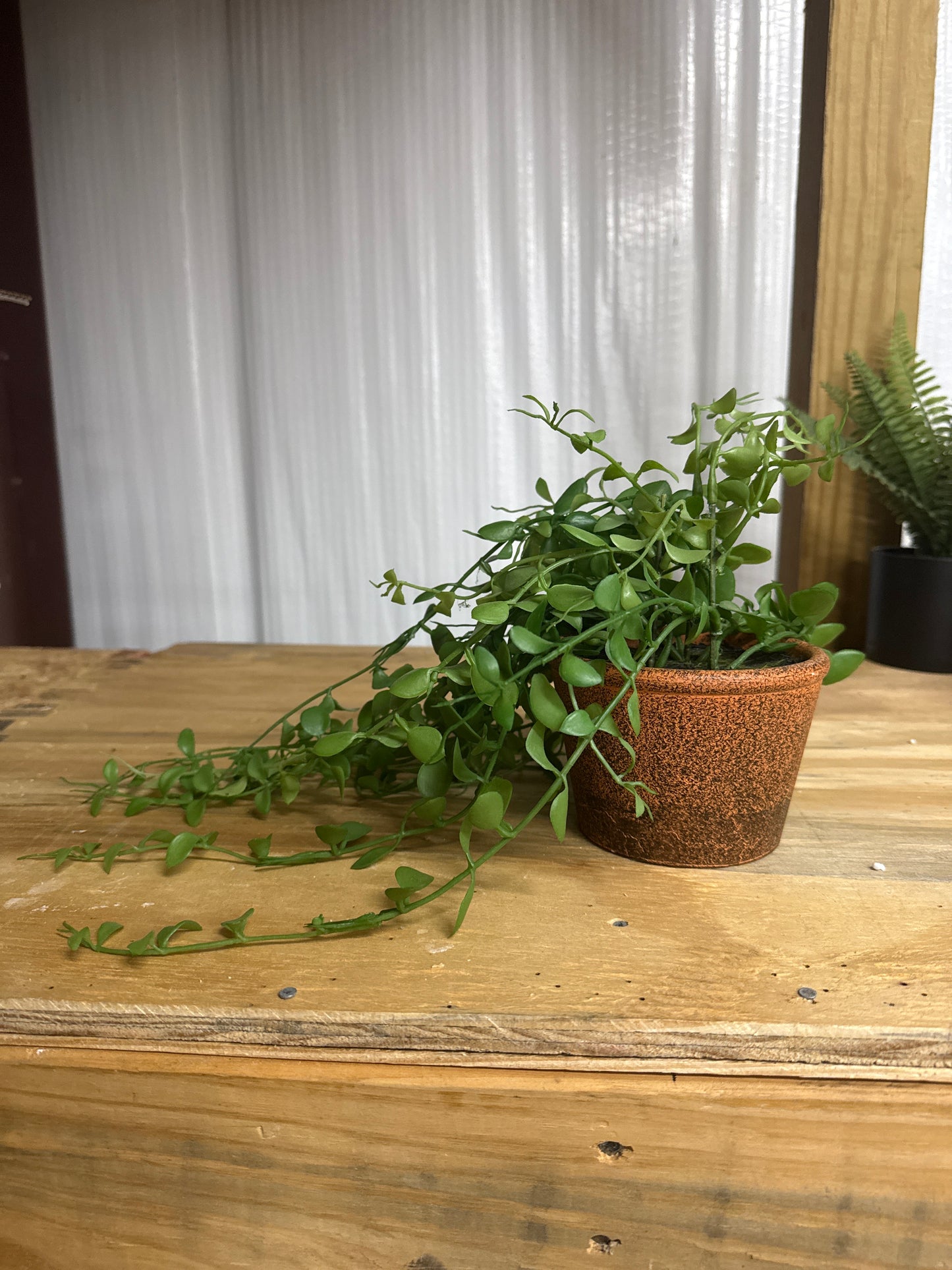 Faux Trailing Vine - Brown Textured Pot