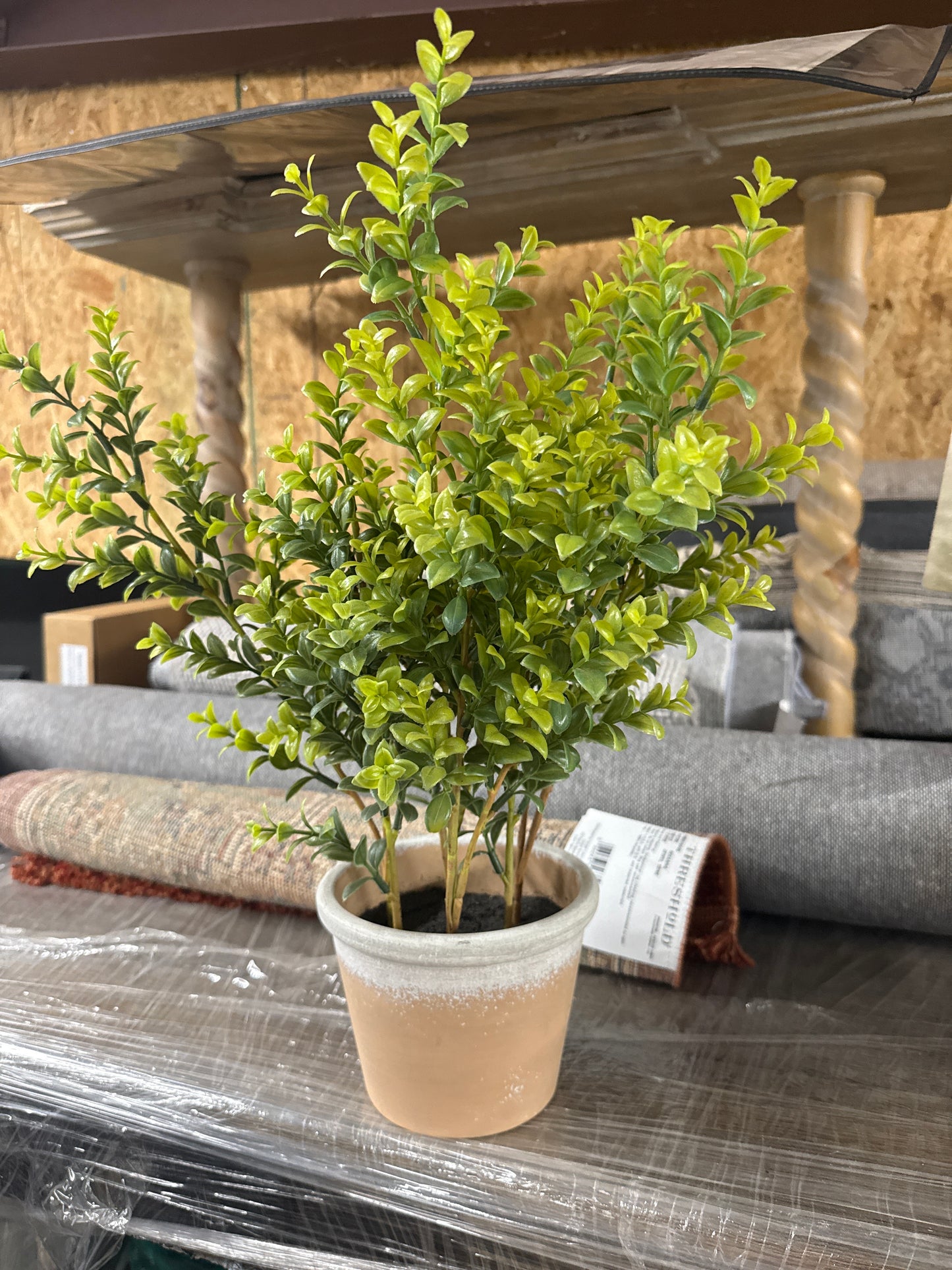 Faux Boxwood Potted Plant