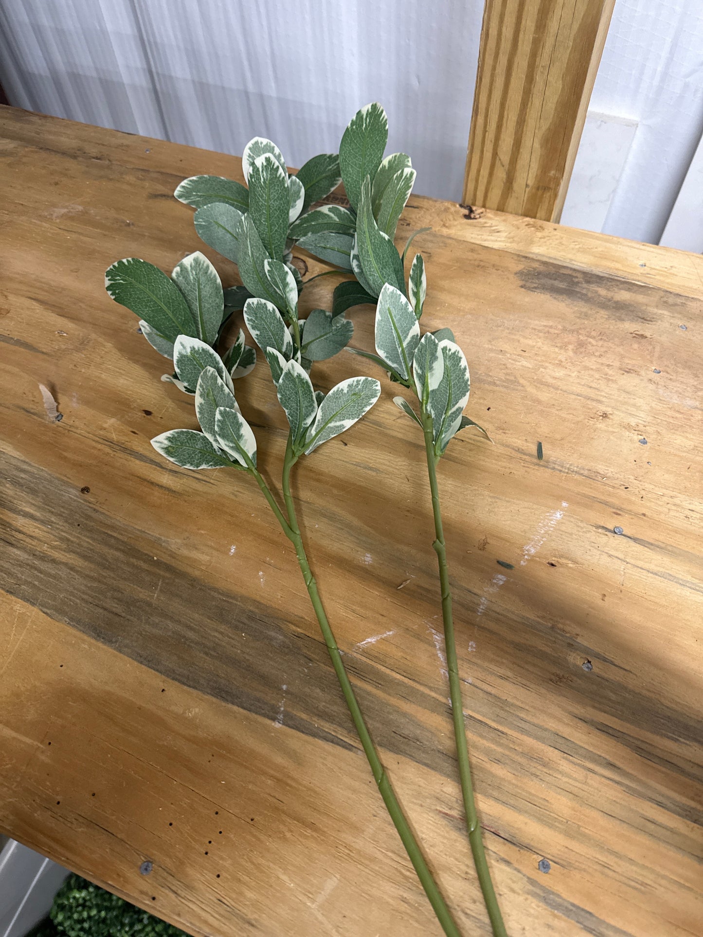 Faux Variegated Leaf Stems - Set of 2
