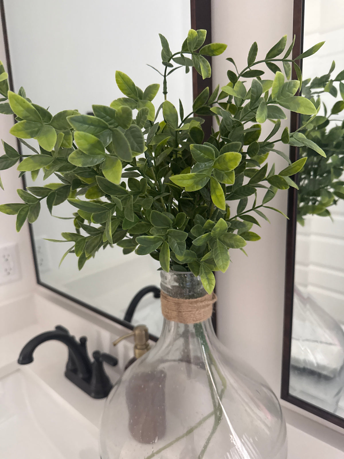 Boxwood Bush Long Stem