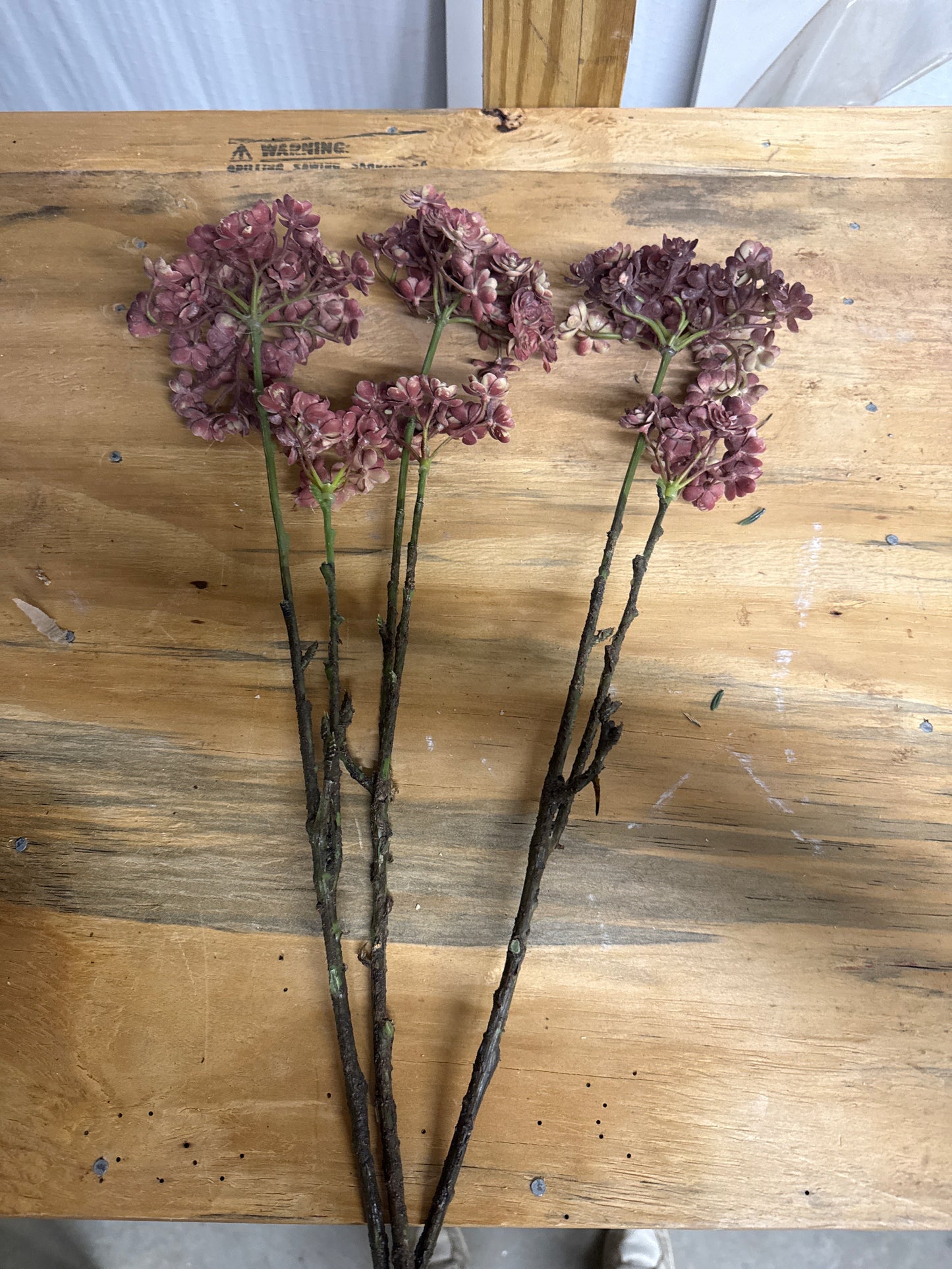 Dried Lilac Floral Stems - Bundle