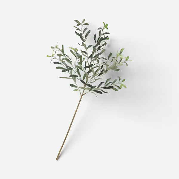 Olive Branch