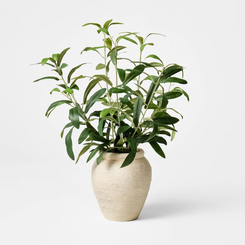 Small Olive Leaf Arrangement