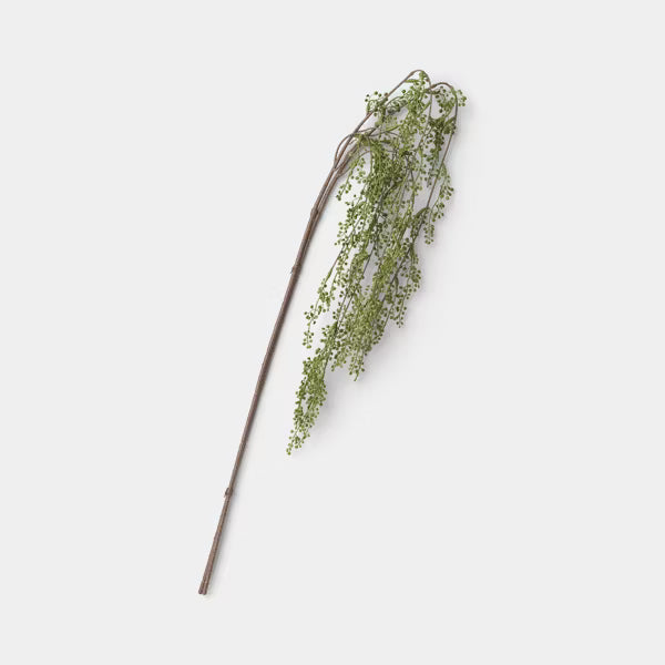 Trailing Green Stem